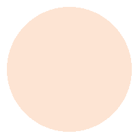 Base Líquida FIX - Vizzela