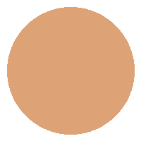 Base Líquida FIX - Vizzela