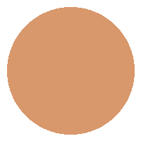 Base Líquida FIX - Vizzela