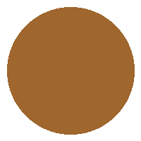 BB Cream FPS 30 - Vizzela