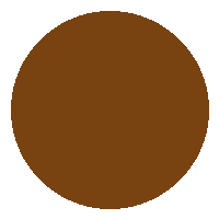 BB Cream FPS 30 - Vizzela